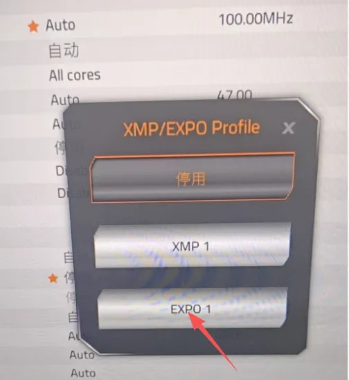 图片[9]-技嘉AMD主板开EXPO/开机亮屏慢/关闭集显开启DMA BIOS调整设置-无盘系统网