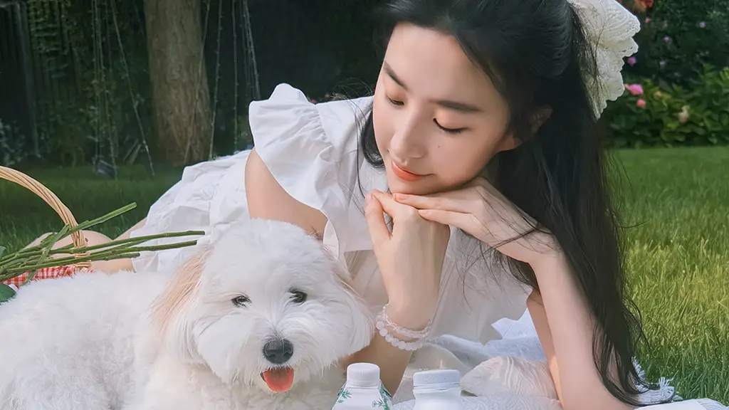 刘亦菲 绿草地 小白狗 4K美女壁纸-无盘系统网