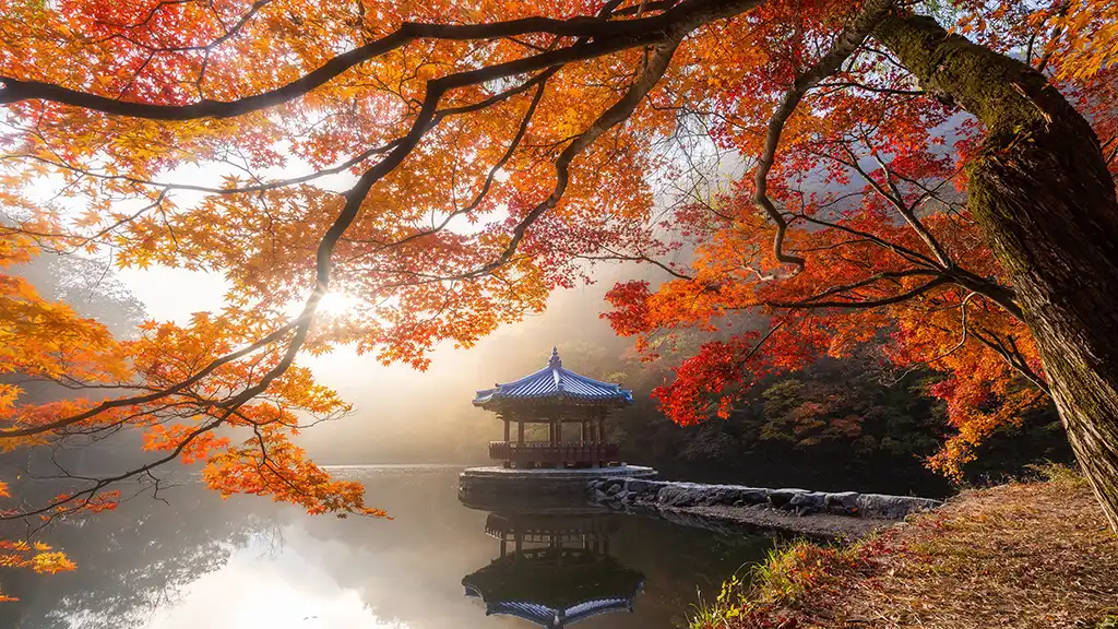 内藏山国立公园的秋景，韩国-无盘系统网